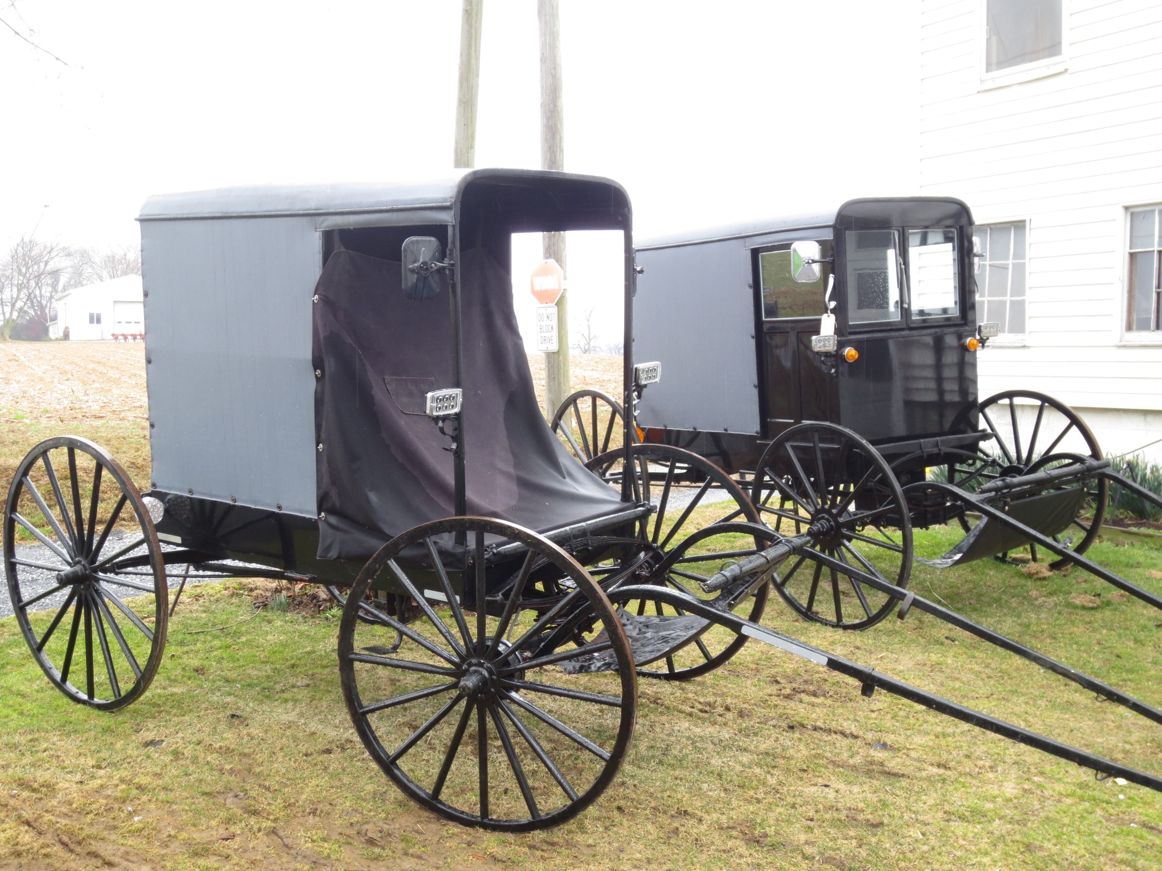 Amish buggies Amish buggies