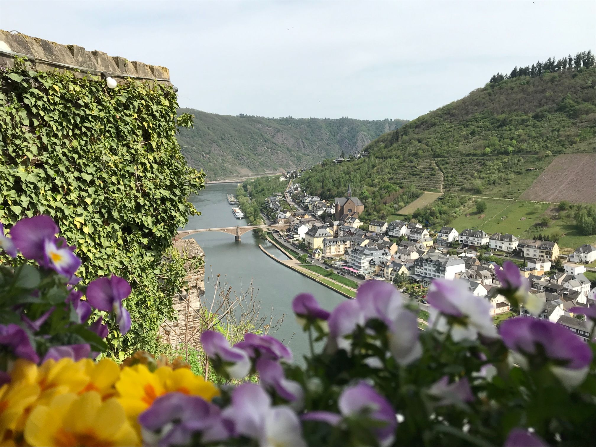 View of the river with flowers in foreground View of the river with flowers in foreground