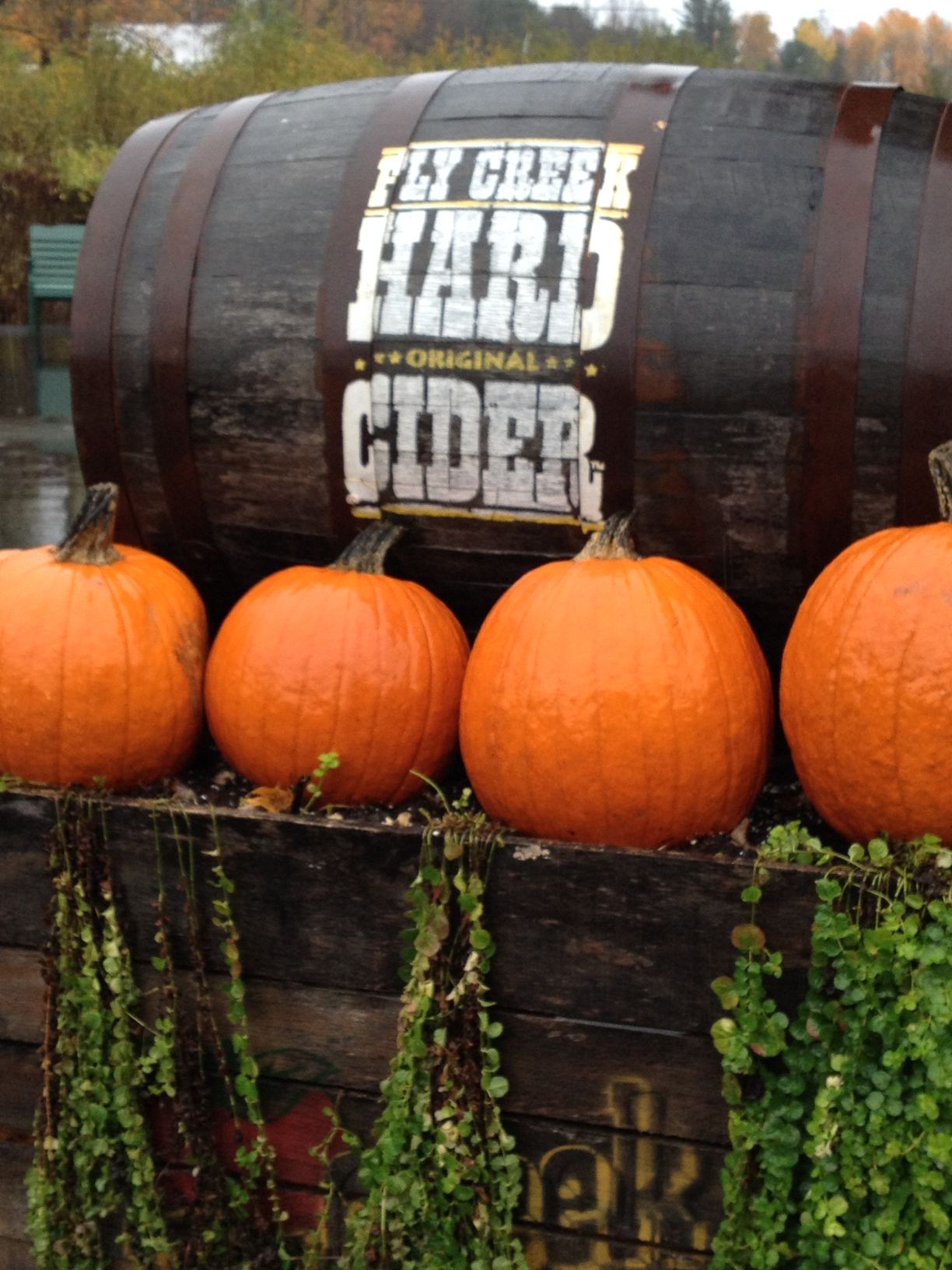 Pumpkin display at Fly Creek Cider Mill Pumpkin display at Fly Creek Cider Mill